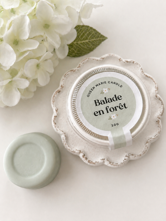 🌲Fondant parfumé – Balade en forêt